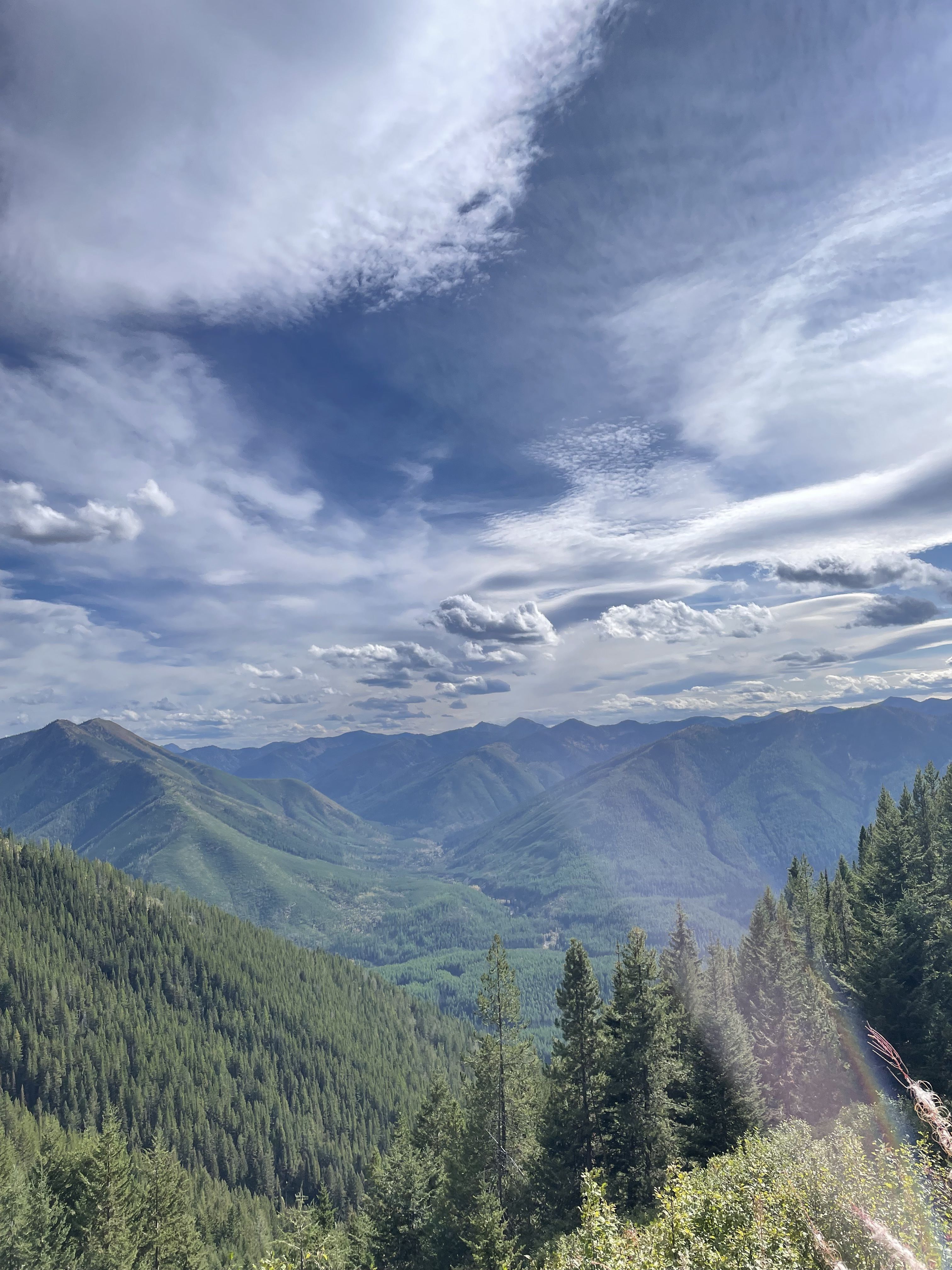 A view of forested covered hills and a blue sky