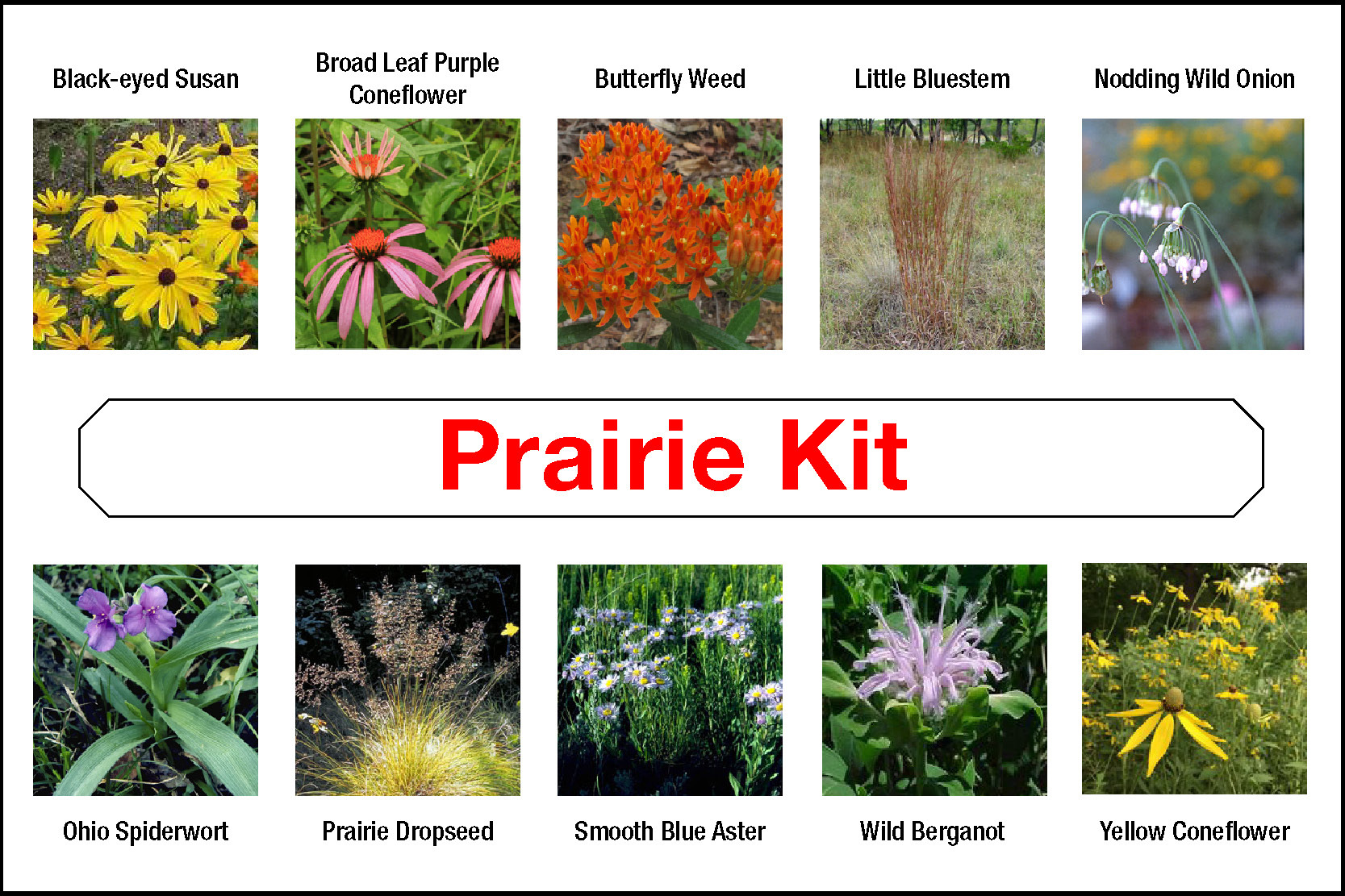 Prairie Kit