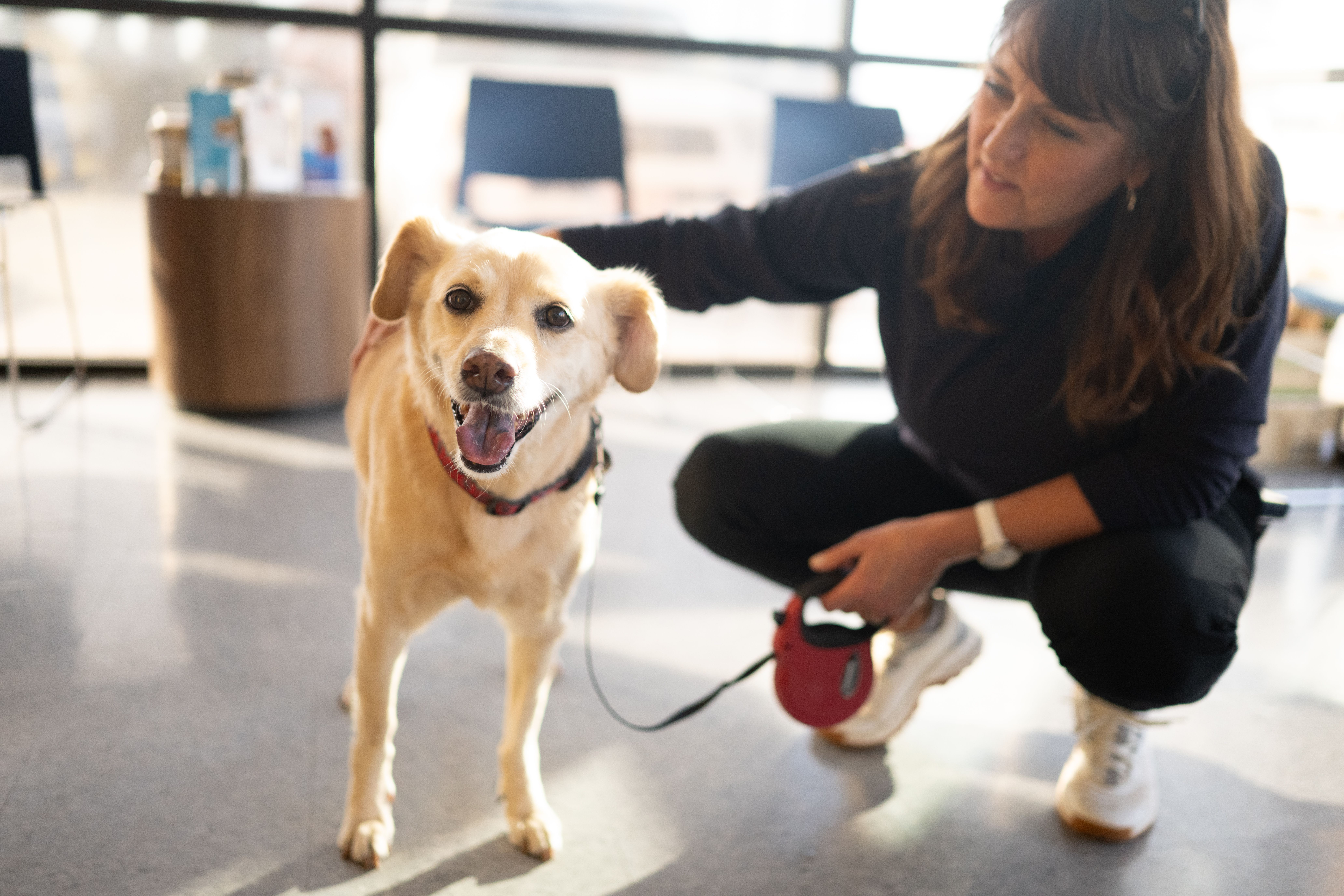 Spay and Neuter Pricing