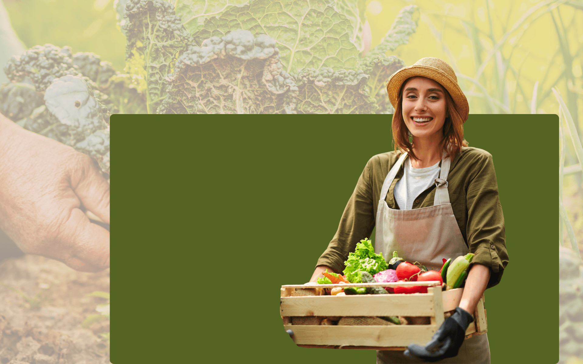 Vegetable Gardening 101