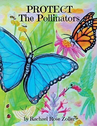 ECA Trail Tales Story Book Walk & Trail Art