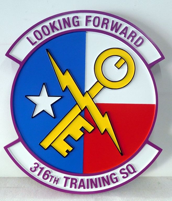 LP-5070 Carved Plaque of the Crest of the Air Force's  316th Training Squadron , Artist Painted