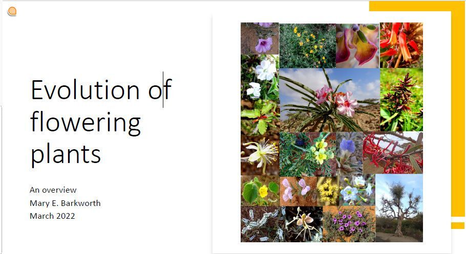 Flowering plant evolution