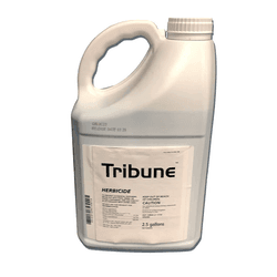 Tribune