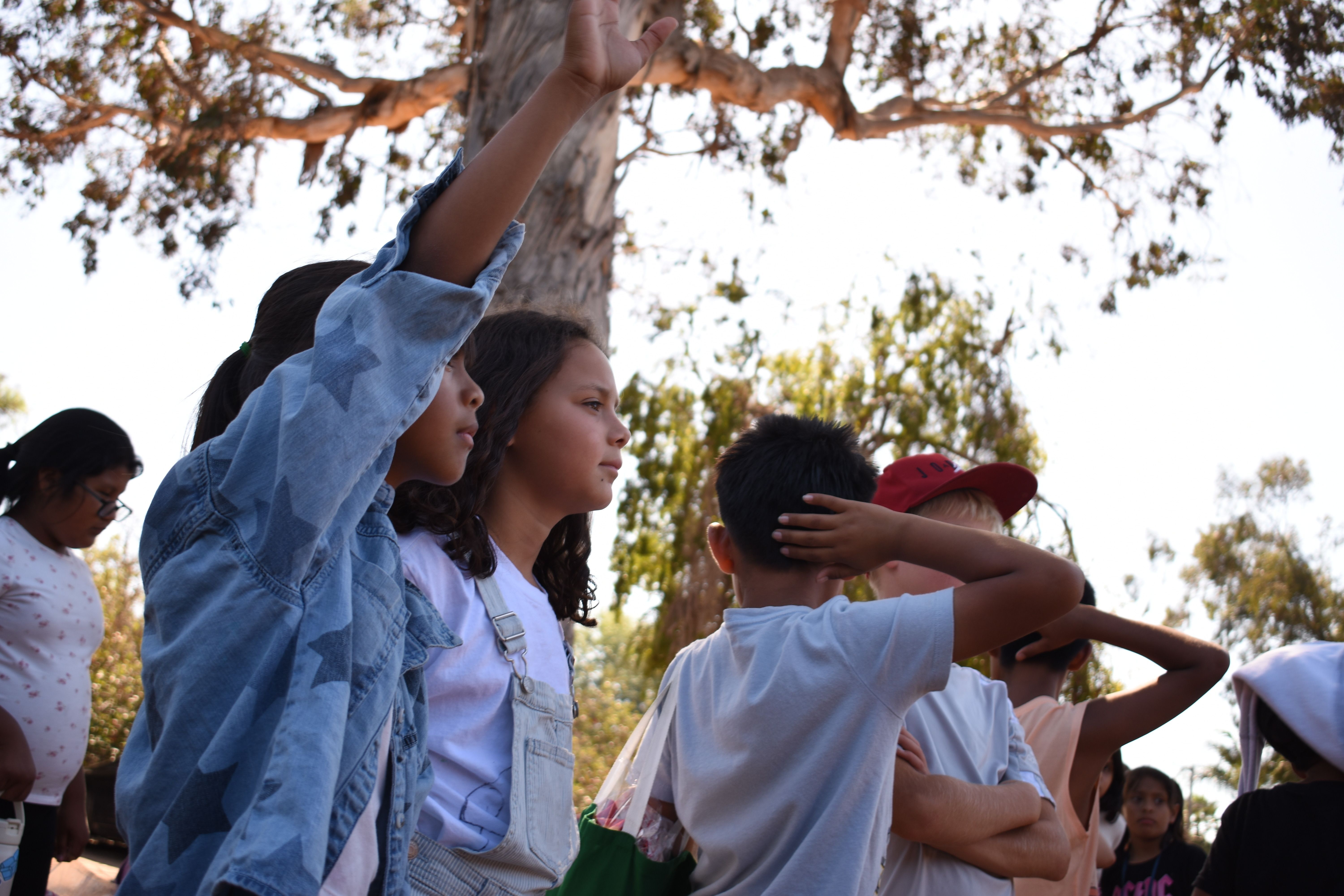 Building Flexible Pathways to Environmental Education