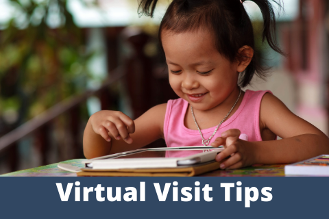 Virtual Visits Tips