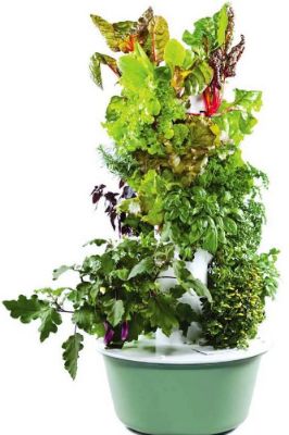 Tower Garden Program