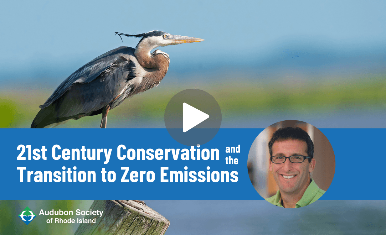 WATCH: 21st Century Conservation and Our Transition to Zero Emissions