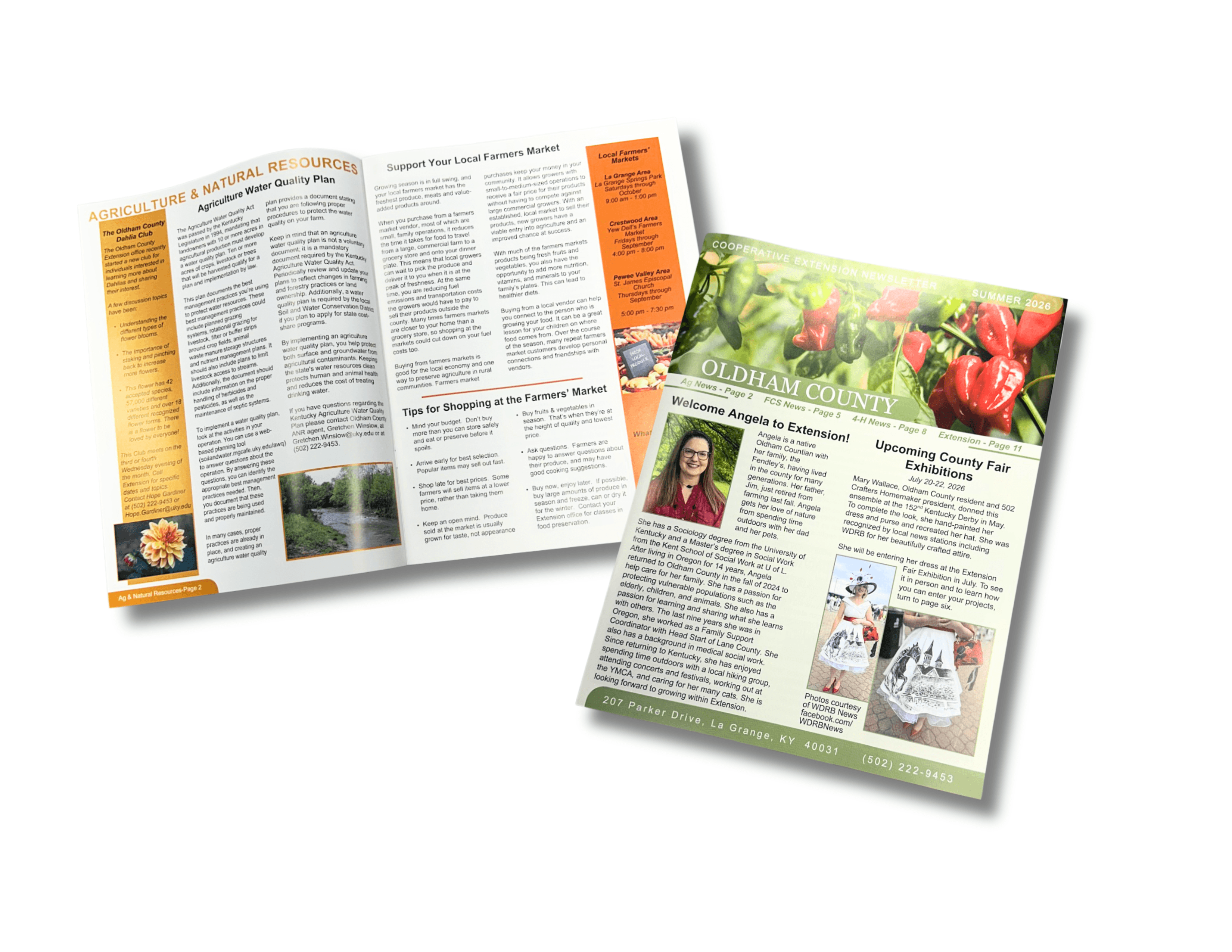 Newsletters