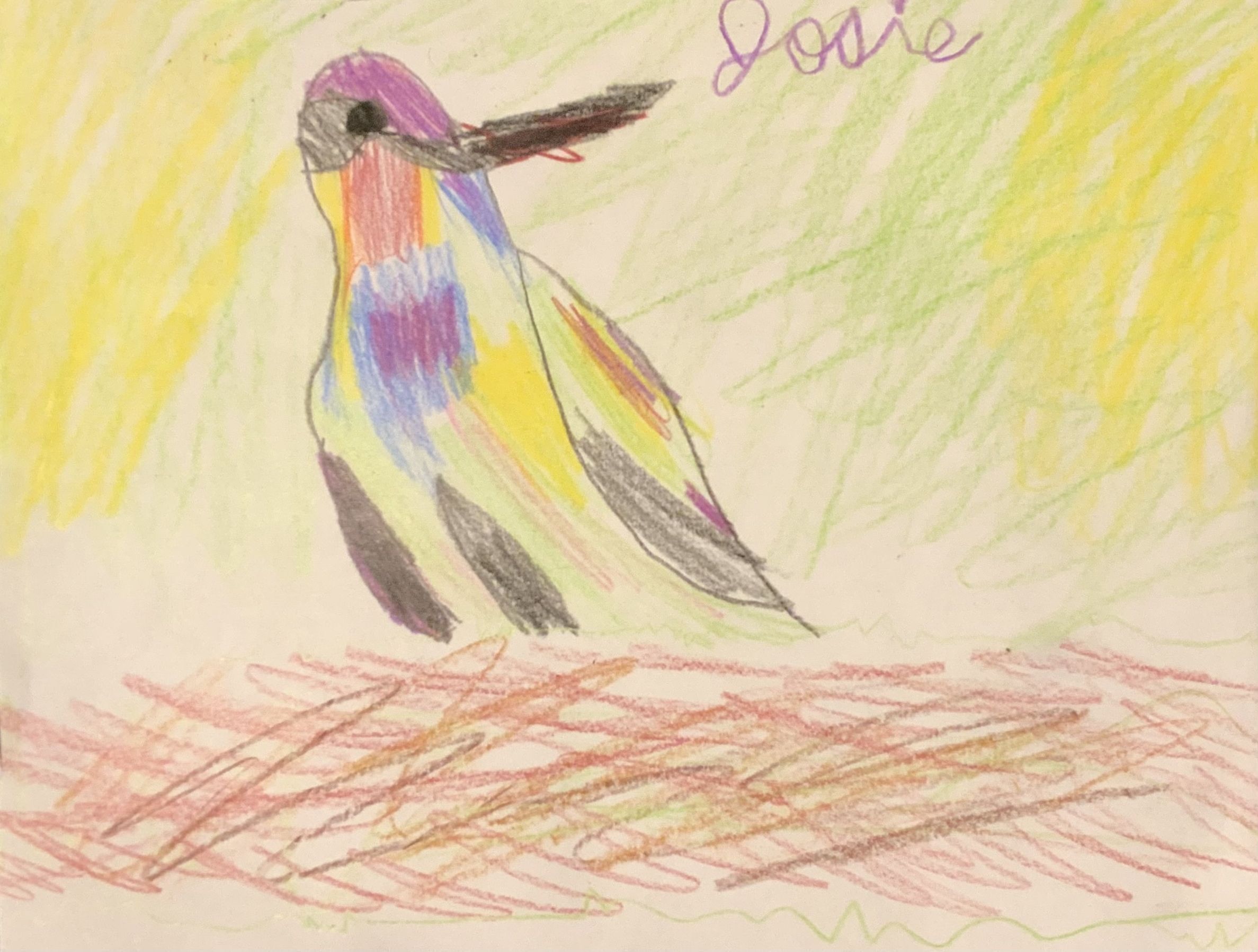 Josie, 3rd Grade