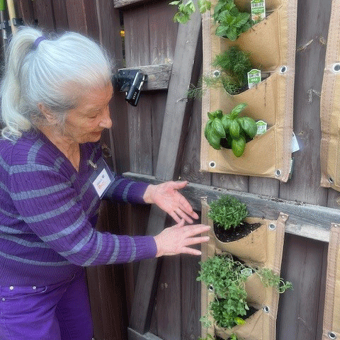 Planting the Garden