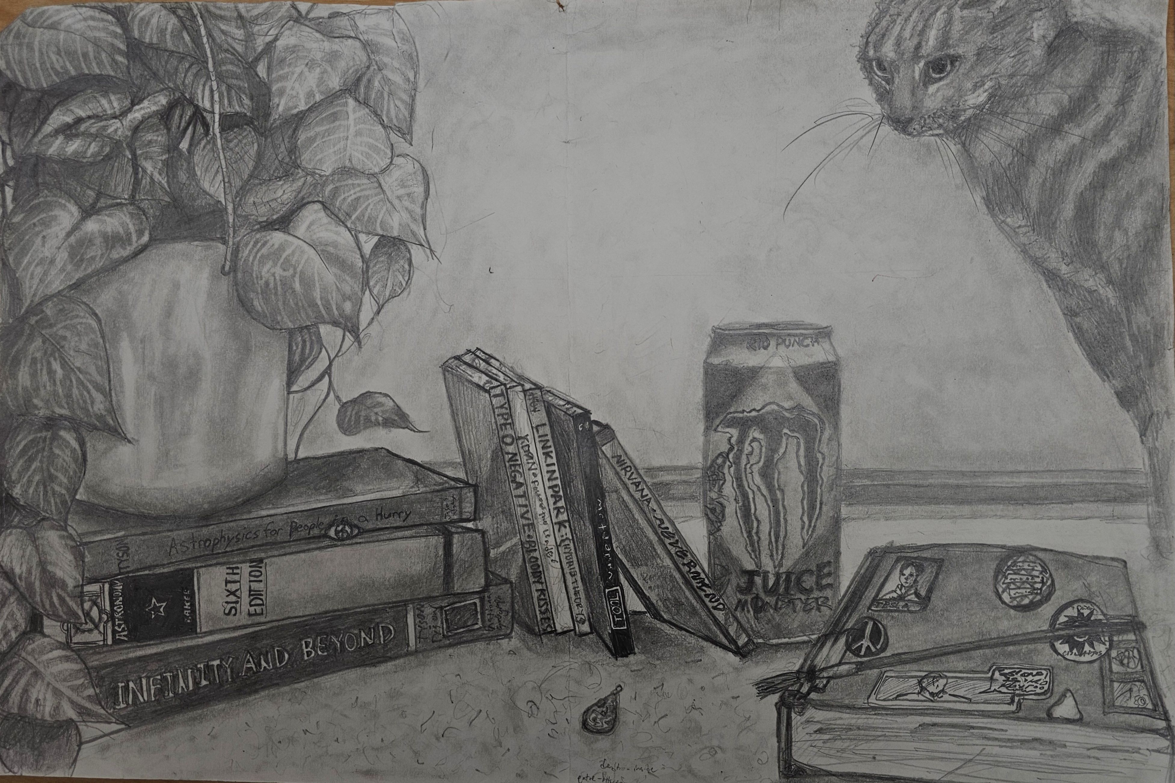 3rd Place Drawing