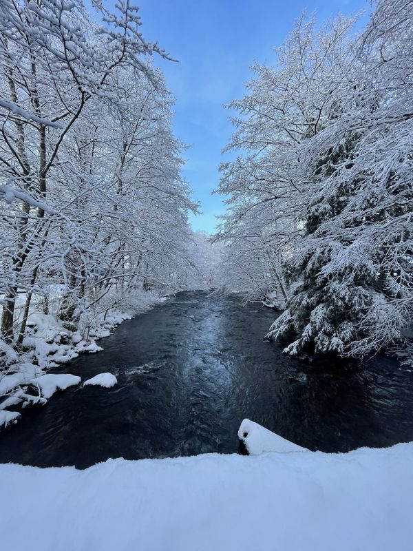 "The Winter Of My Heart" - Elizabeth Franklin