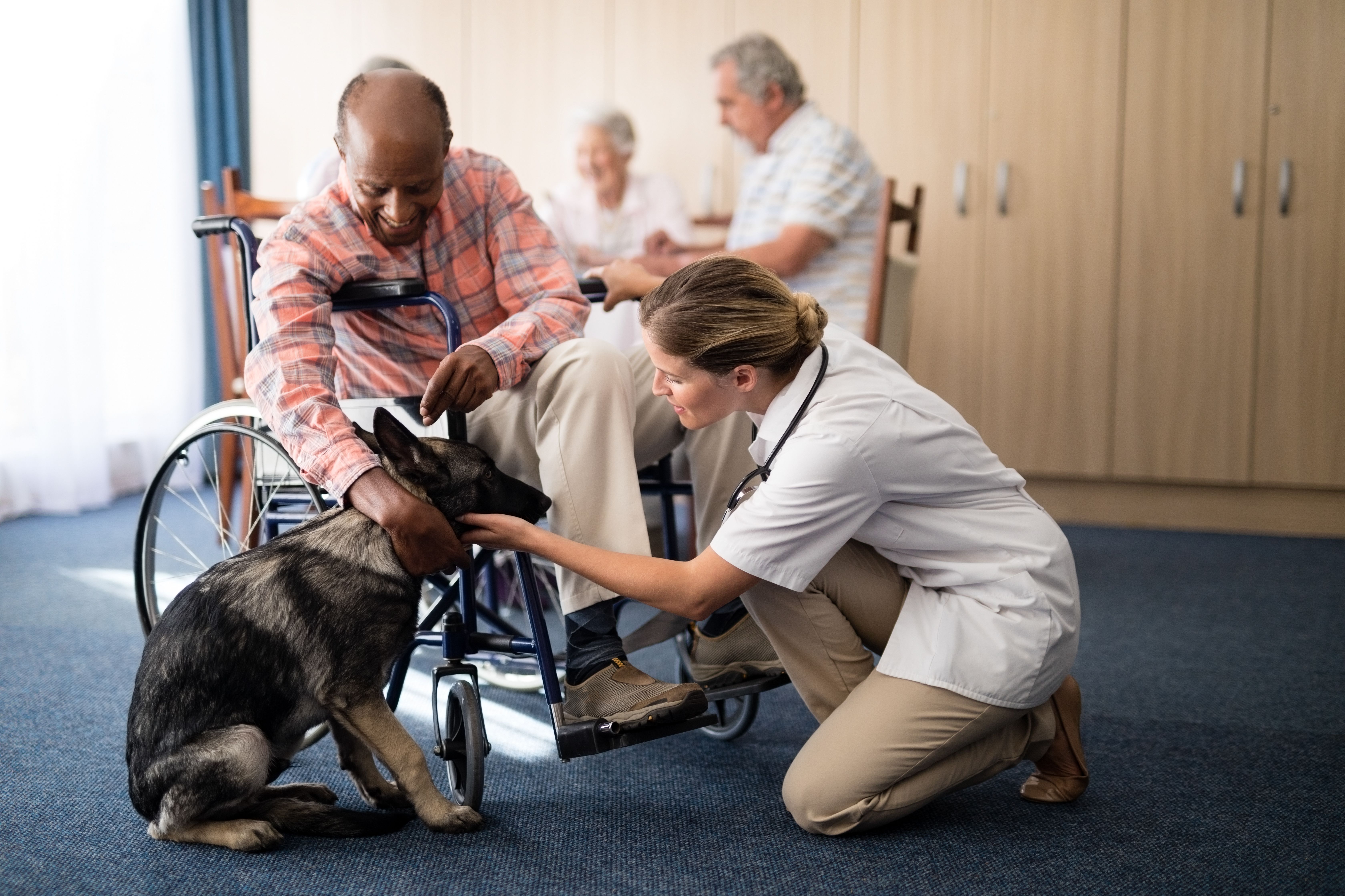 what makes a service dog legal