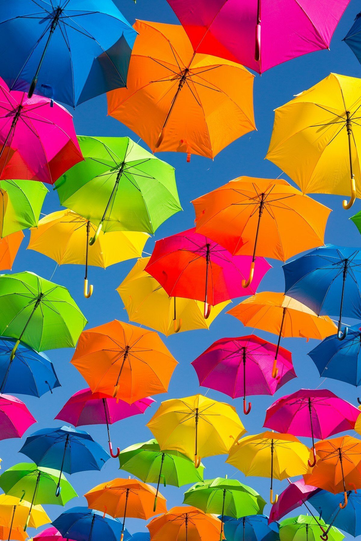Color