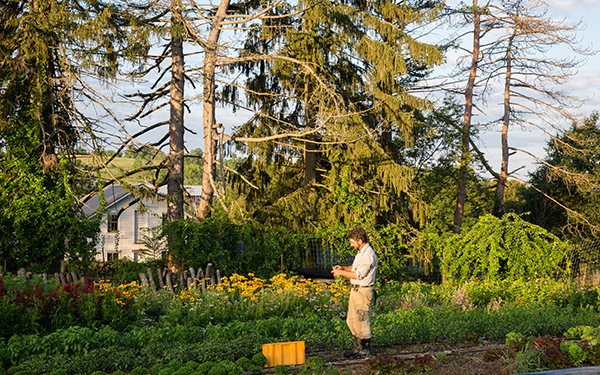 Agroforestry: Glynwood's Examination of Landscape Function
