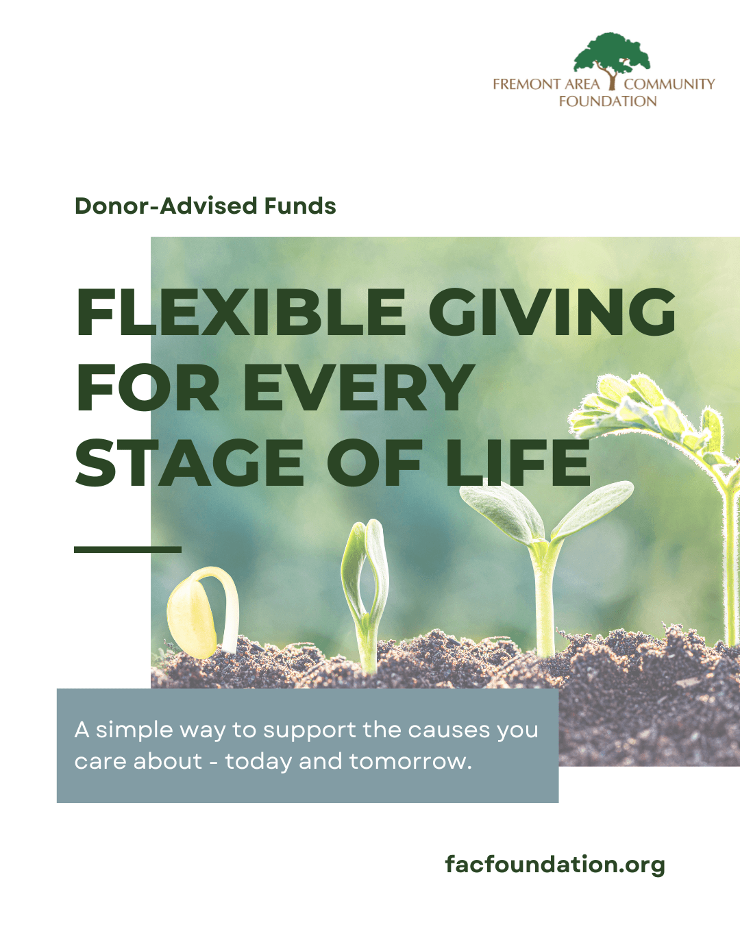 A Donor-Advised Fund: Flexible Giving for Every Stage of Life