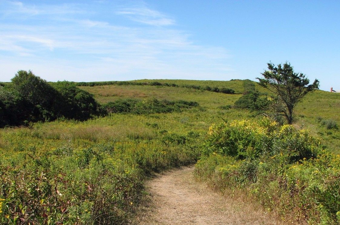 Lewis-Dickens Farm Wildlife Refuge Elizabeth Dickens Block Island Audubon Society of Rhode Island Birds Birdwatching Coast Hike