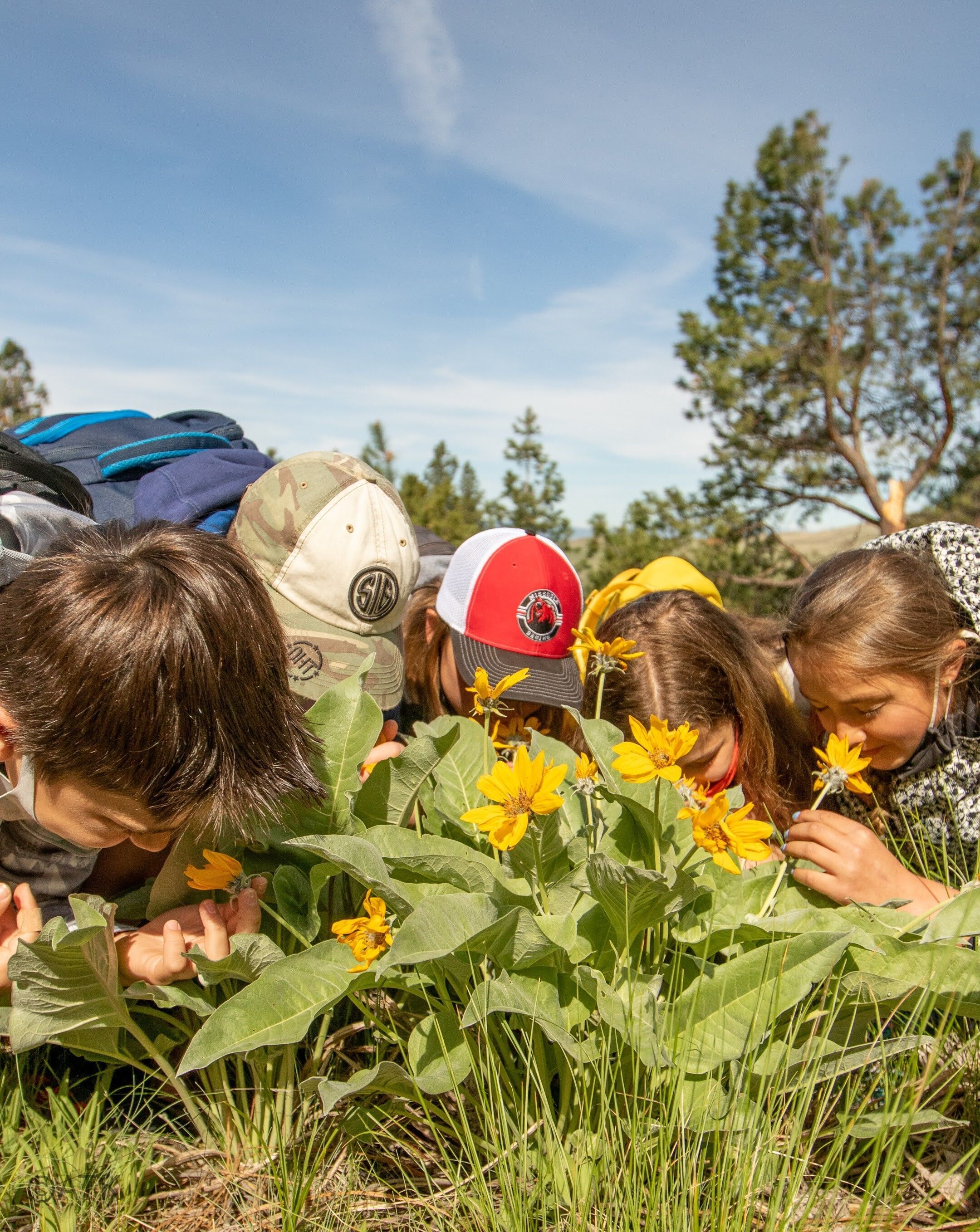 Group of children smelling flowers.