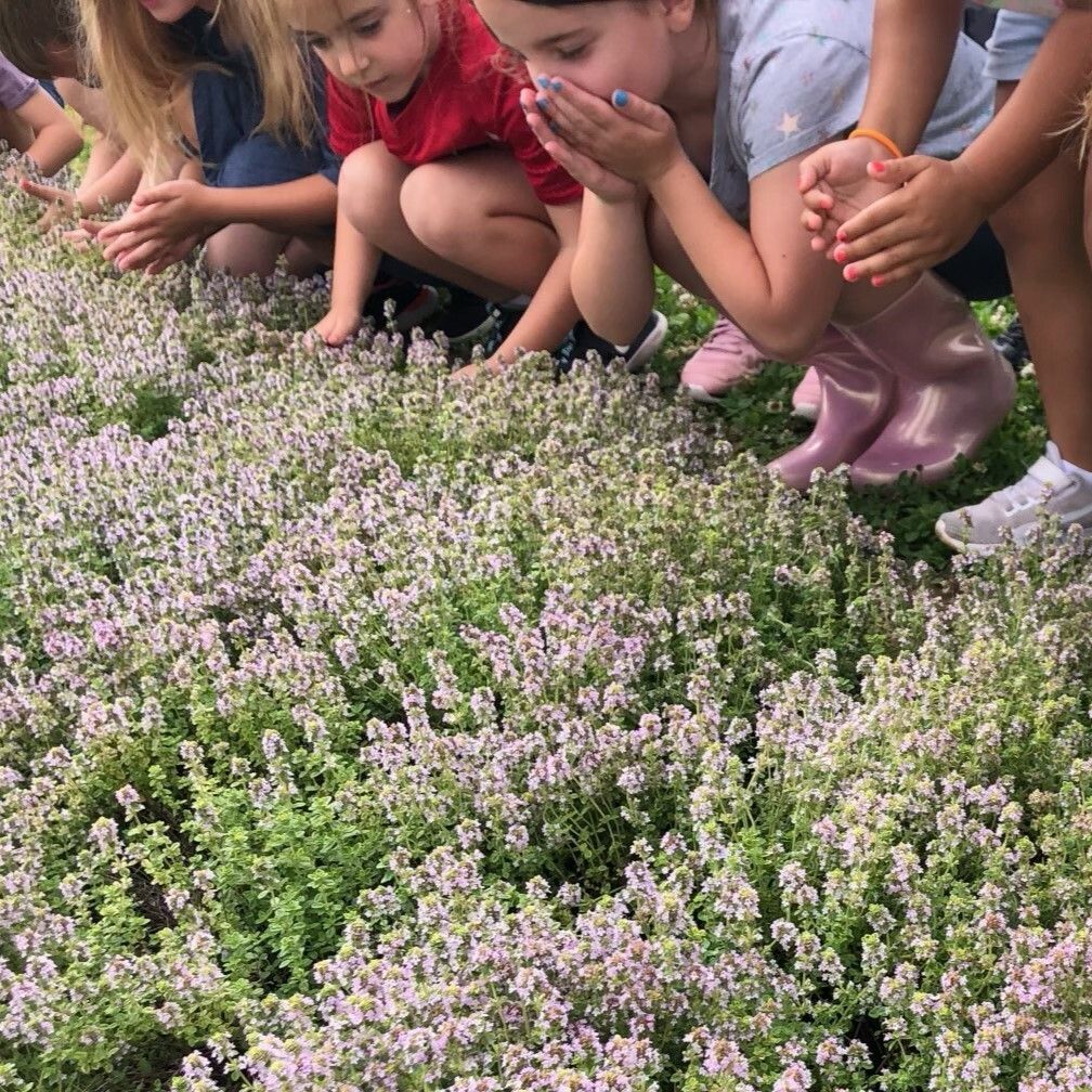 Welcome to our new Education Garden… Almost!