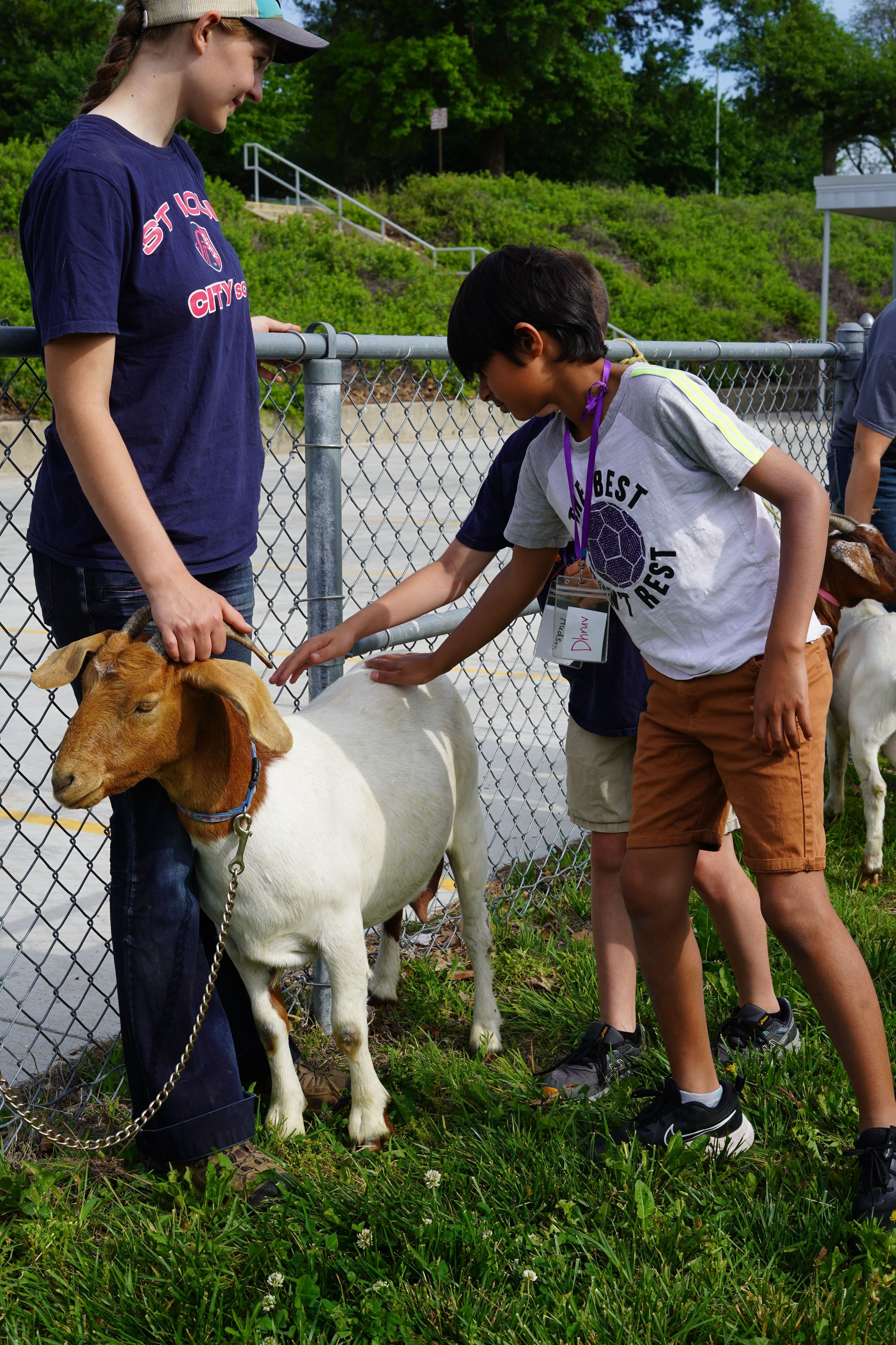 Student petting a goat 