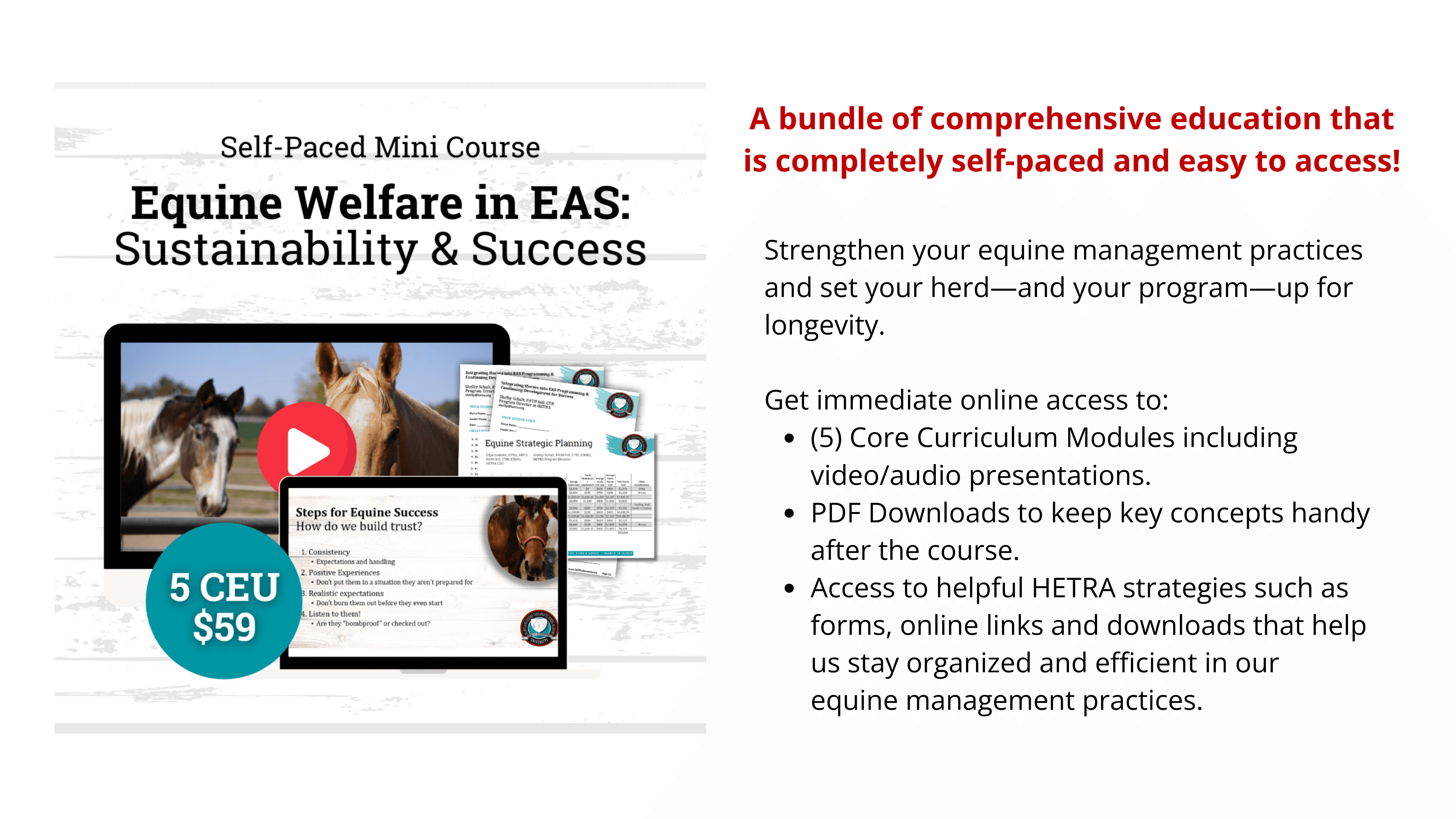 Equine Welfare in EAS, Sustainability & Success