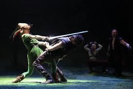 photo of sword fight