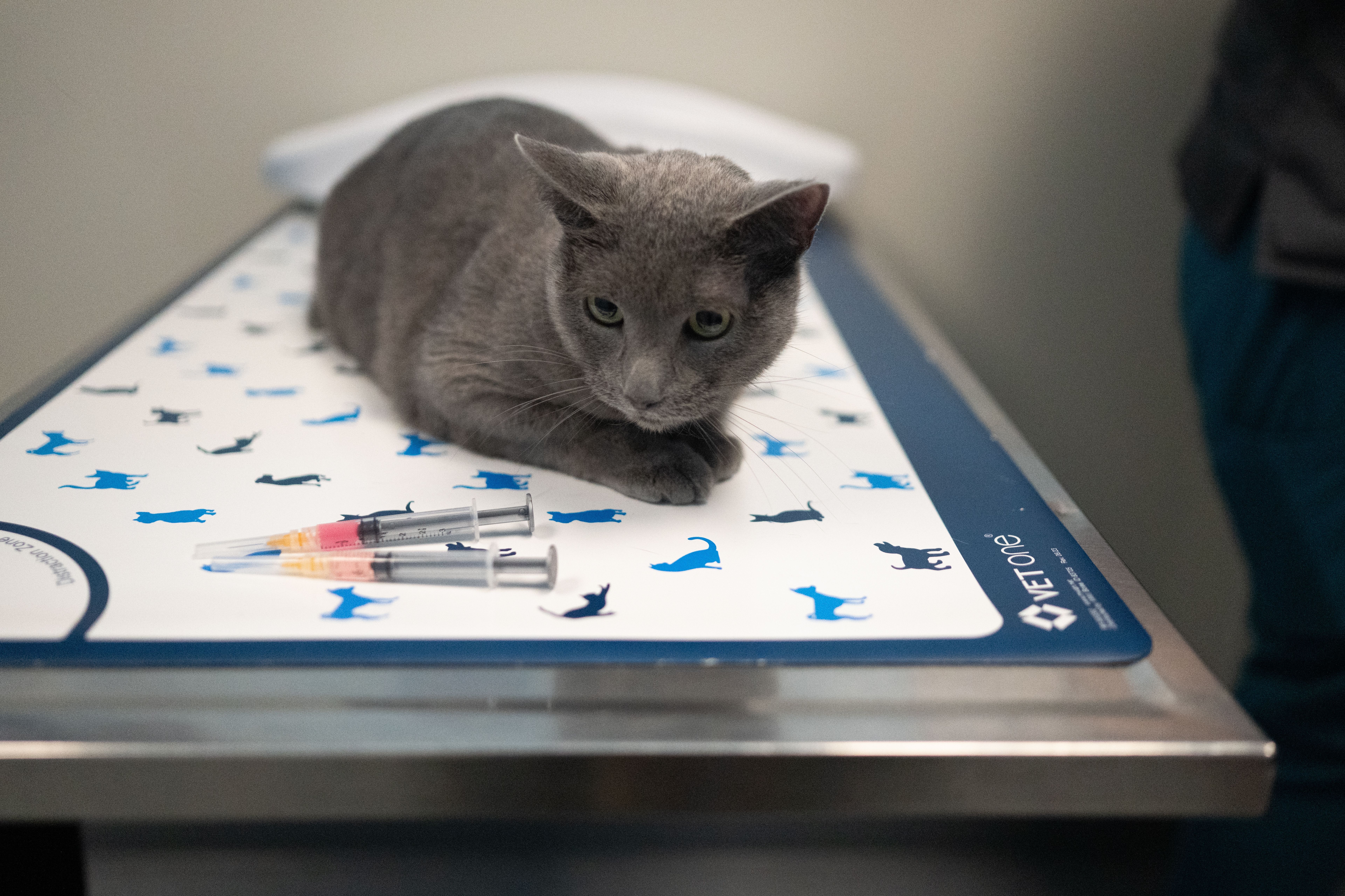 Stransky Veterinary Center