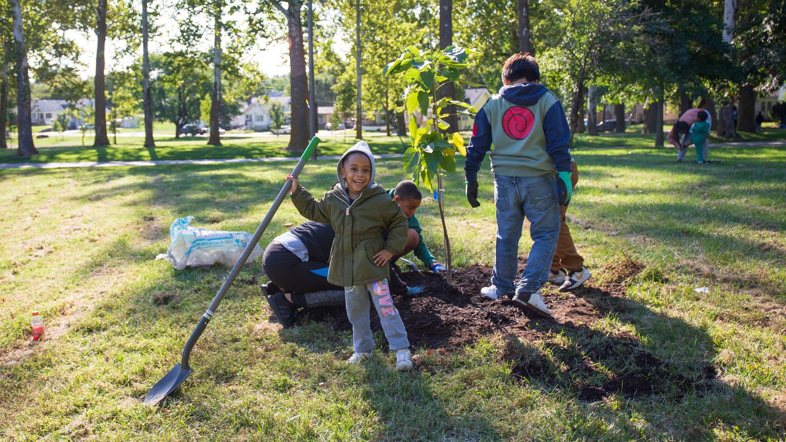 Trees for Omaha Keep Omaha Beautiful Emerald Ash Borer