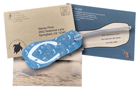 direct mail env die cut