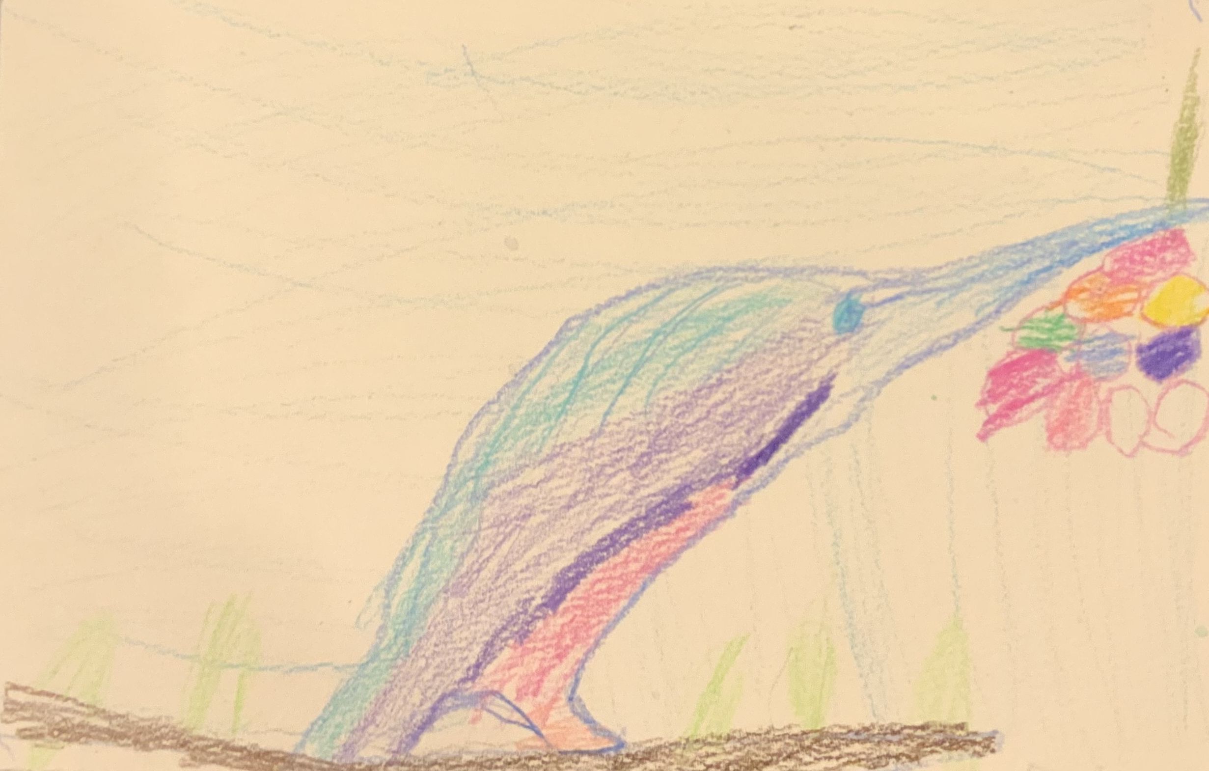 Taiyari, Kindergarten