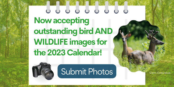 2023 Audubon Calendar: Submit Photos!