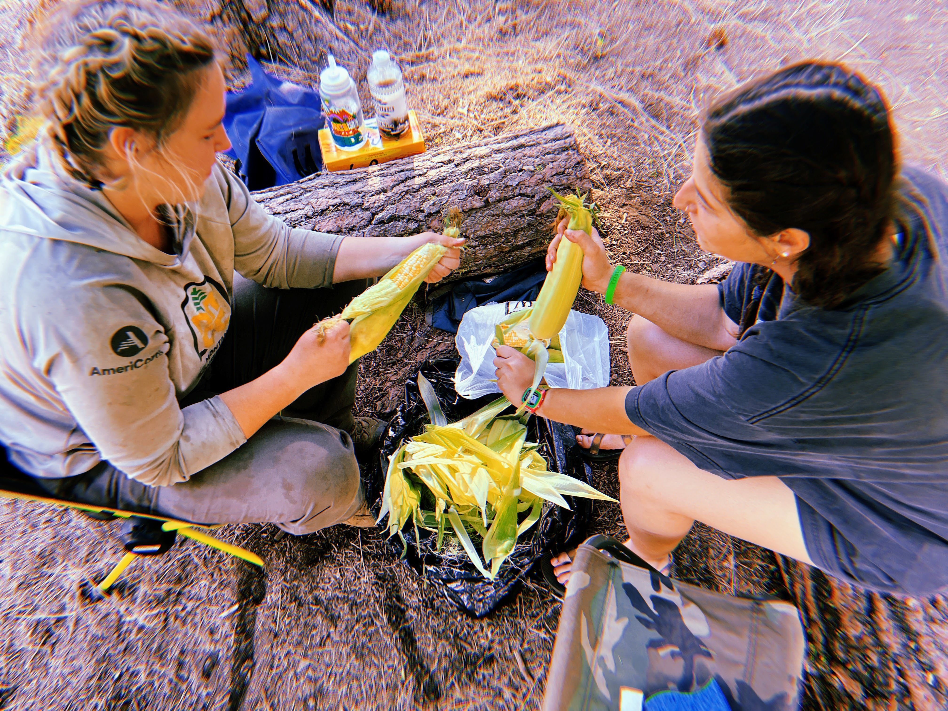Two crew members shuck corn