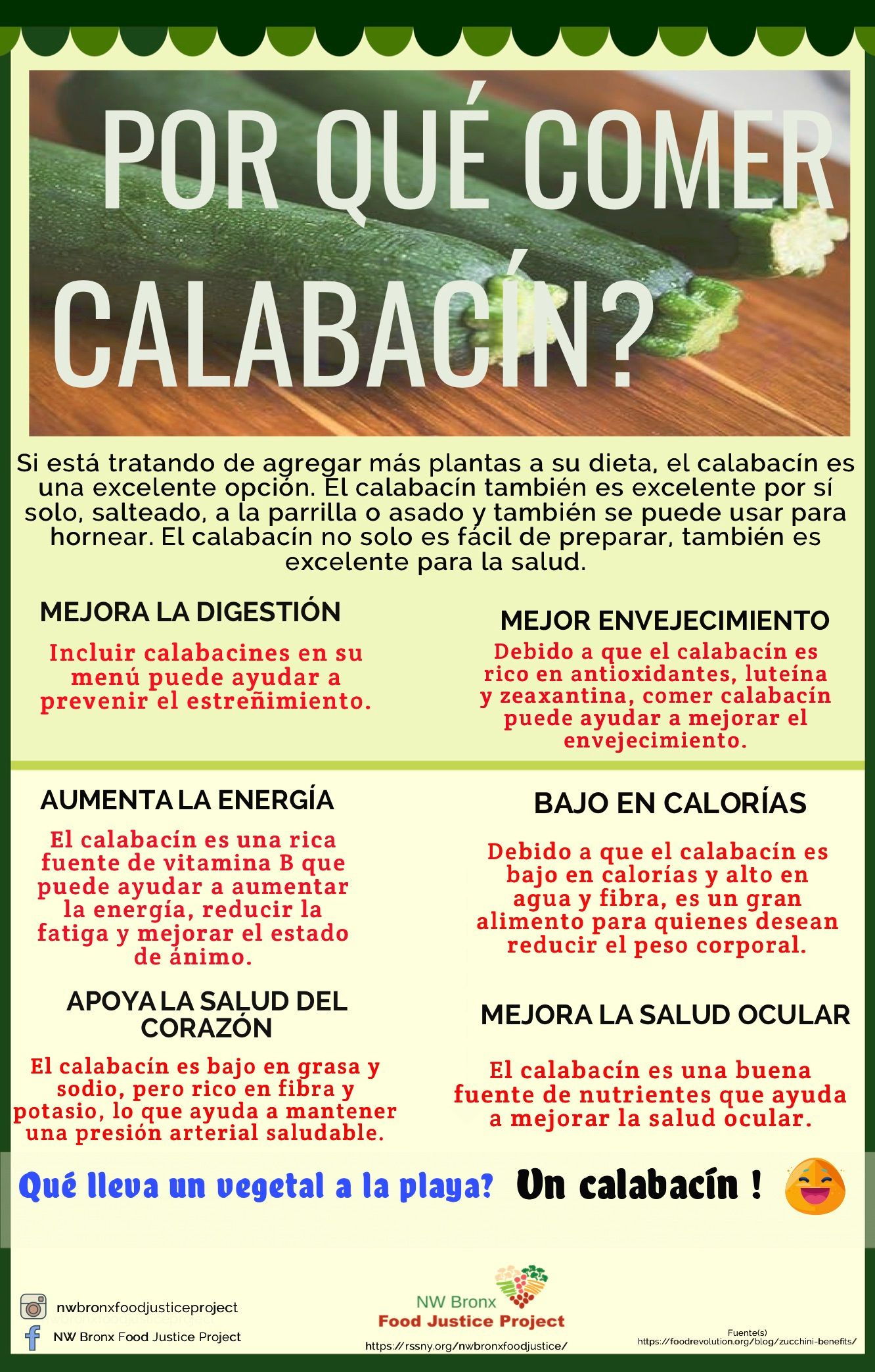 ¿Por qué comer calabacín?