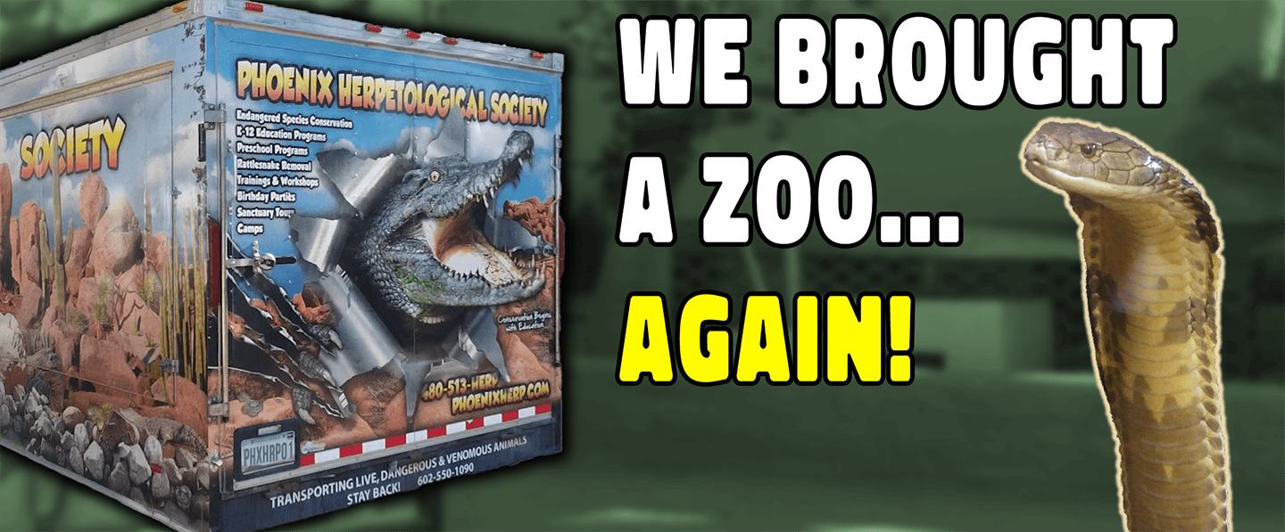 New Video on YouTube!