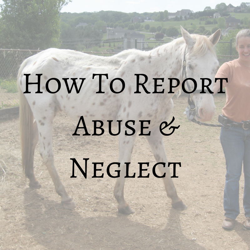 How to Report Abuse or Neglect