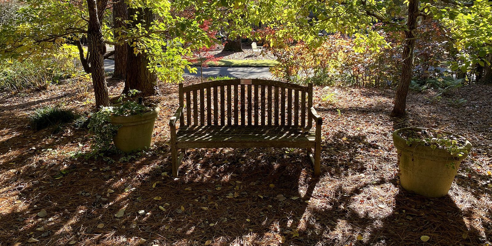 Aldridge Gardens Nature & Art Hoover, Alabama