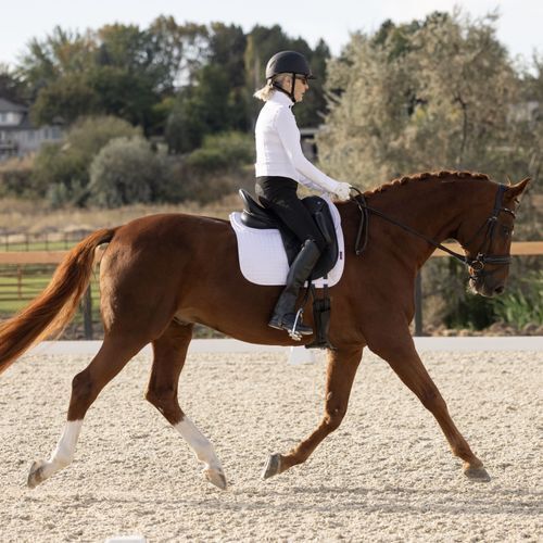 Victoria Coelho and De Silva (ID)