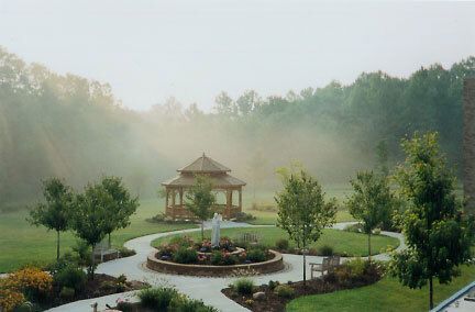 Misty garden.