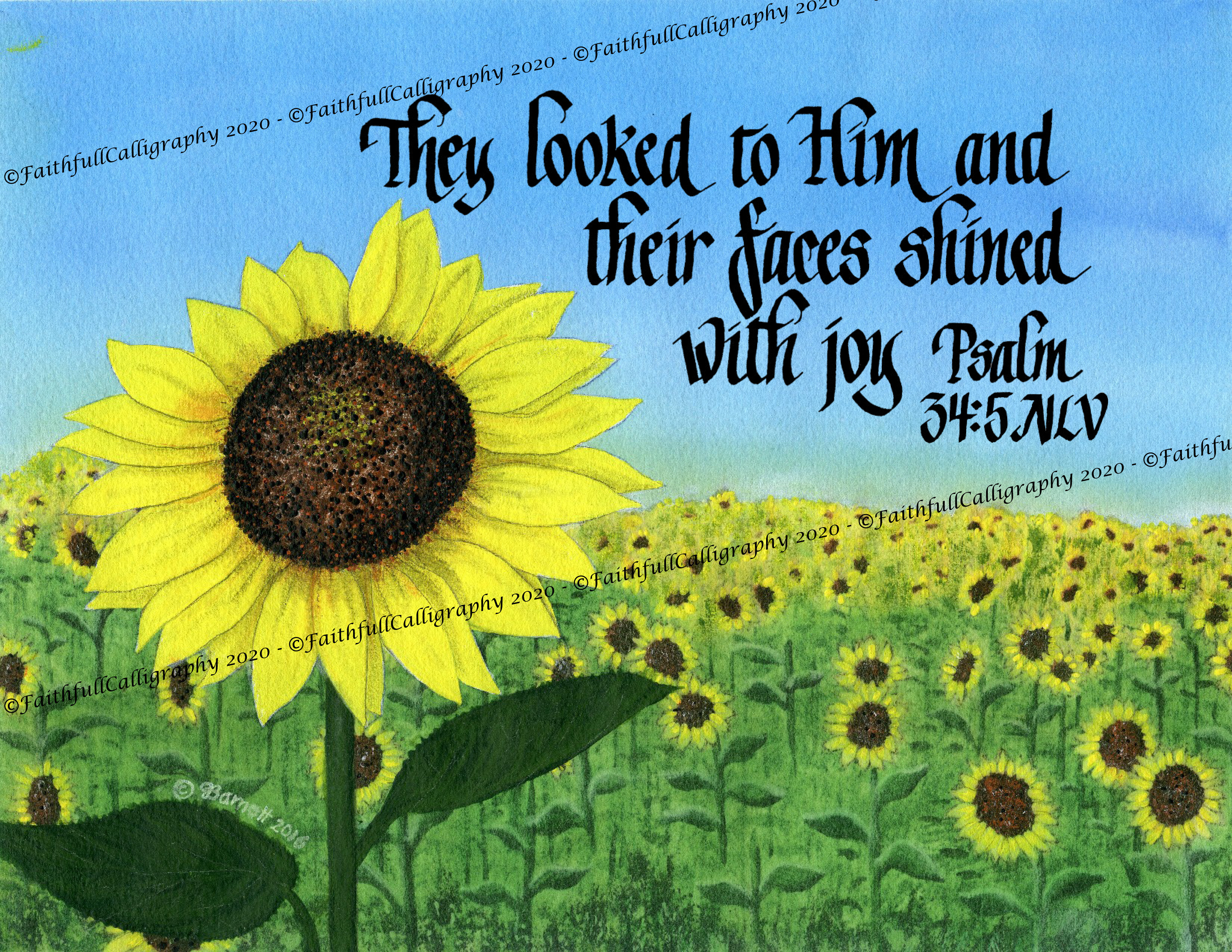 FACES SHINED (Psalms, Encouragement, Faithwalk, Service/Ministry)