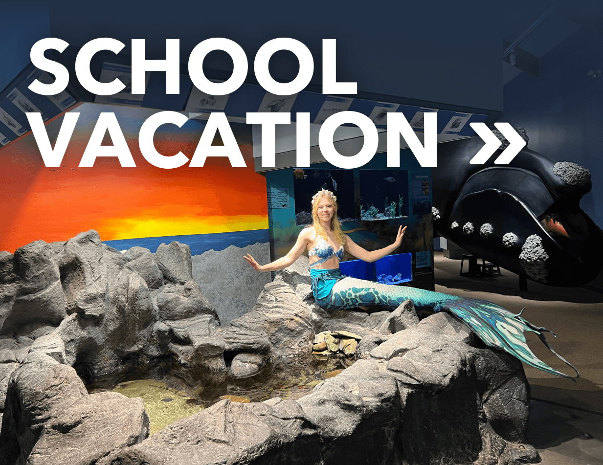 School Vacation Activities