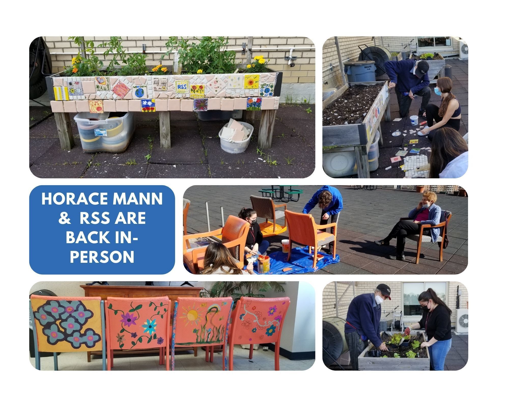 Tiles and chairs decorated by Horace Mann students with RSS members for the terrace garden.