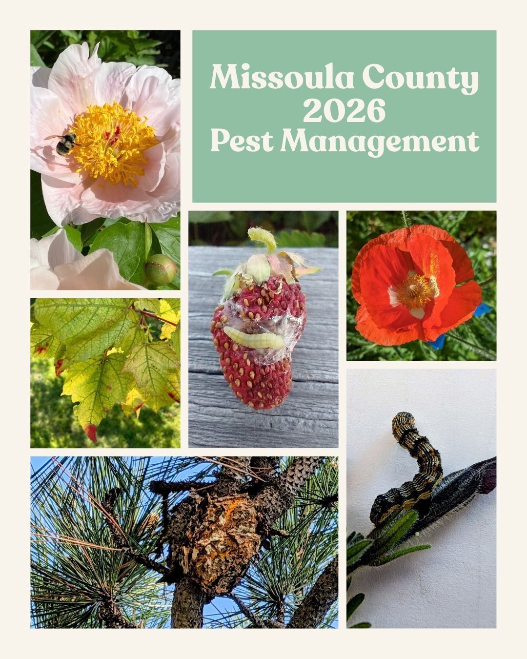 From Dormant to Thriving: April’s Critical Garden Window