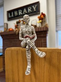 Shelf Sitter Reading A Book (2)