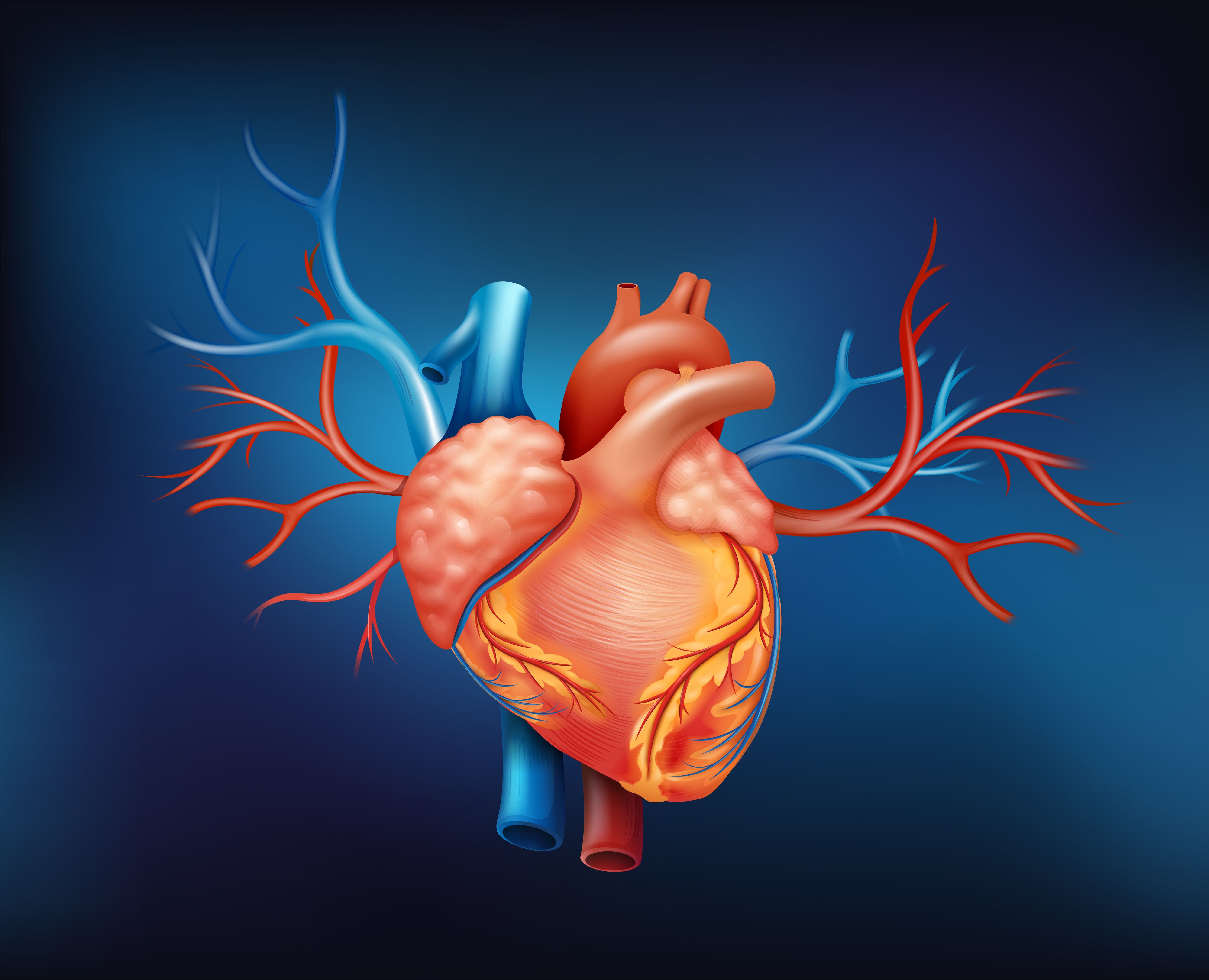 The Coronary Artery Disease - Sudden Cardiac Arrest Connection: What You Need To Know