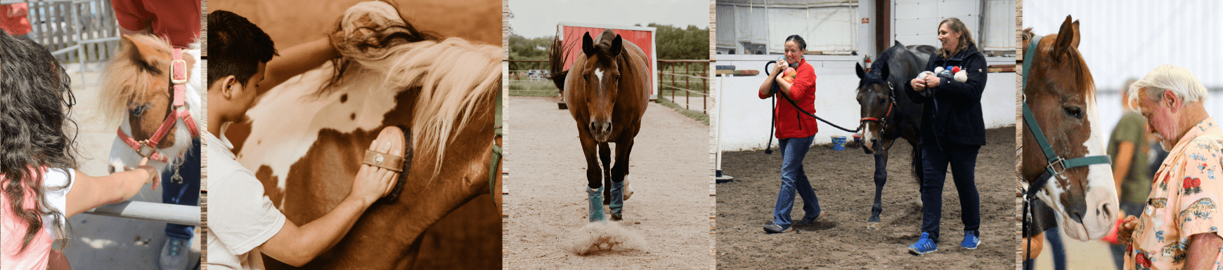 Partners and Sponsorships