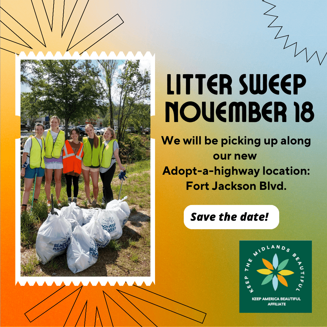 November Litter Sweep