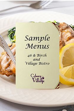 Image of plated salmon with text "Sample Menus, 46&Birch and Village Bistro