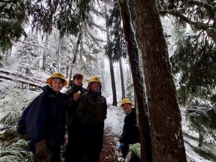 A crew stands clustered under a tall tree, as snow falls around them.