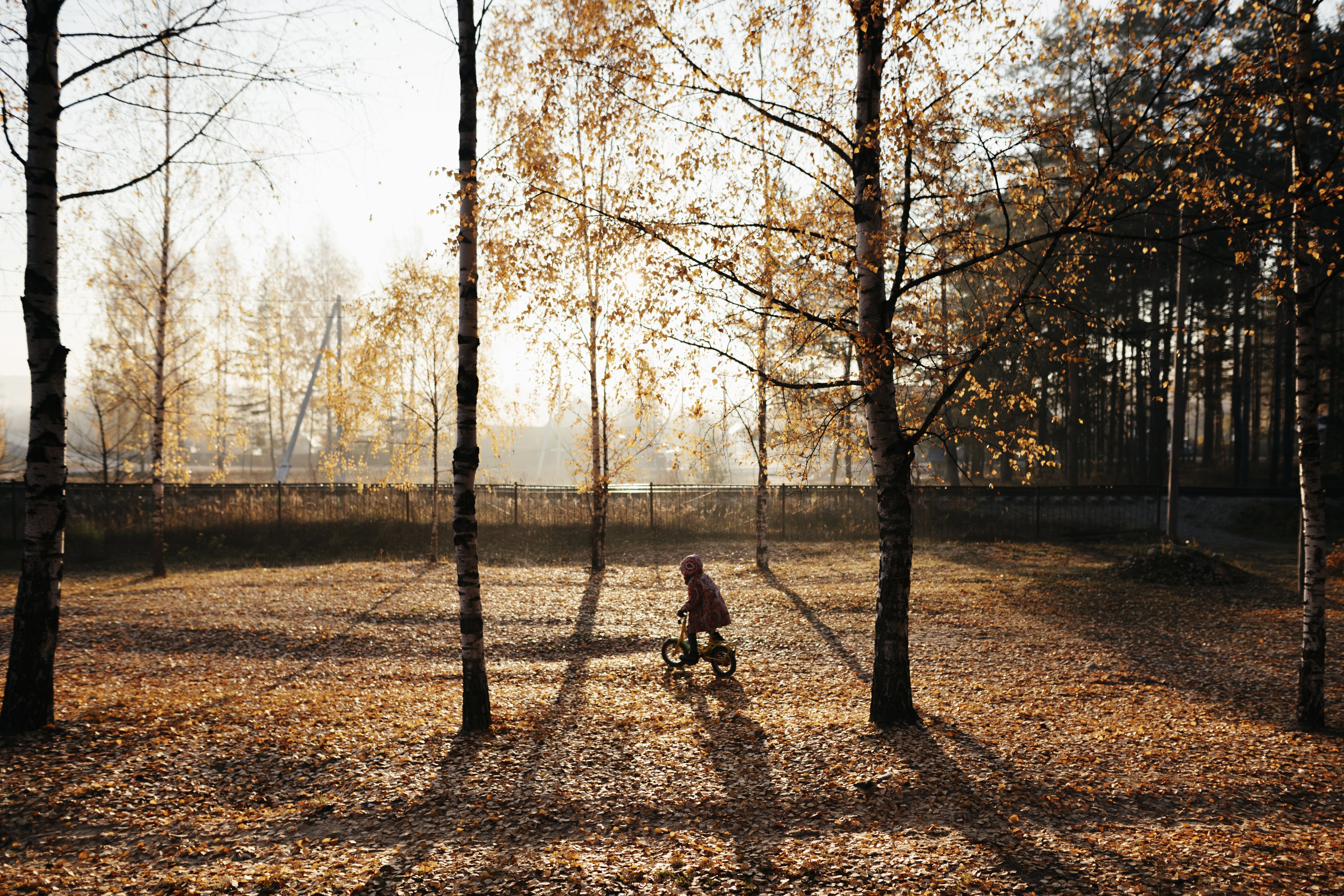 Image of a young child riding a bike through the woods.